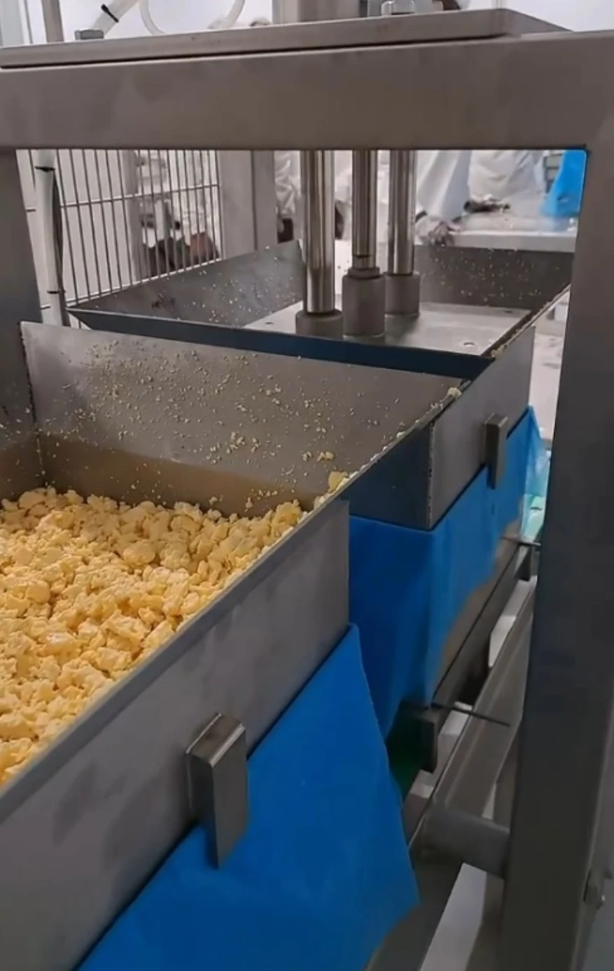Molino Cheddar — línea completa integrada con transporte neumático y prensa final